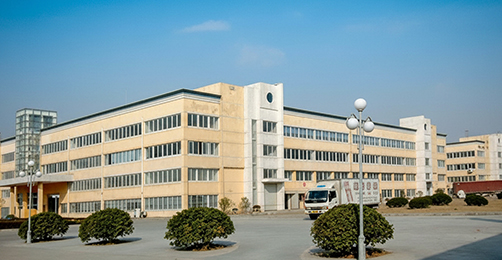 Partner Success Story: New Store Launch Support